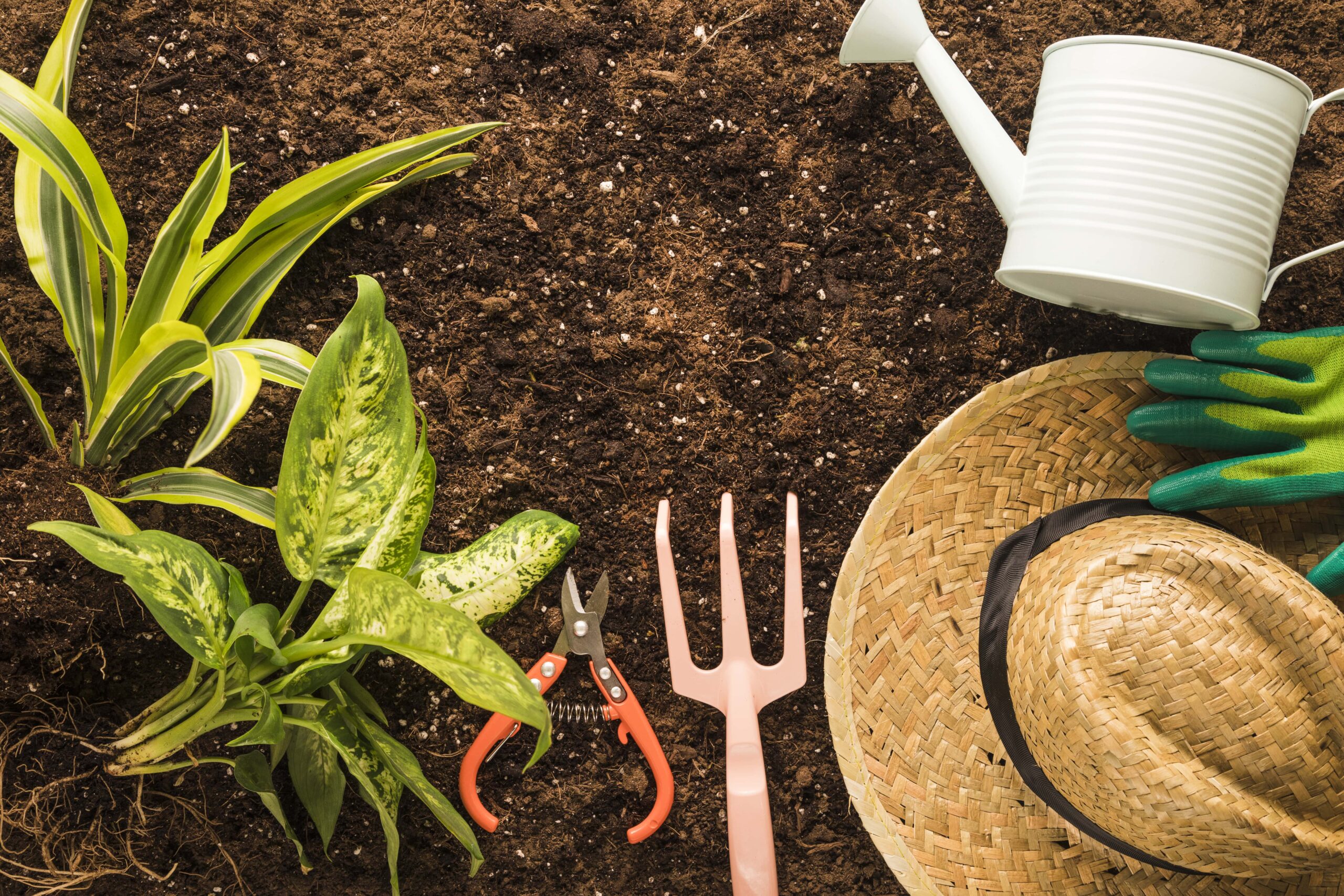 Urban Gardening 101: 8 Useful Tips for Urban Gardening